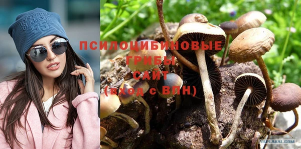 mdpv Медногорск