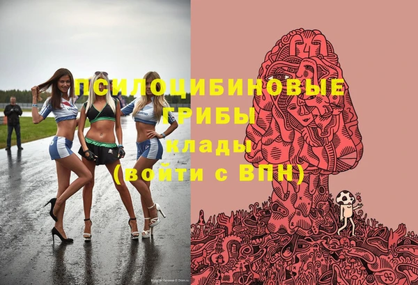 2c-b Мегион