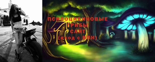 героин Михайлов