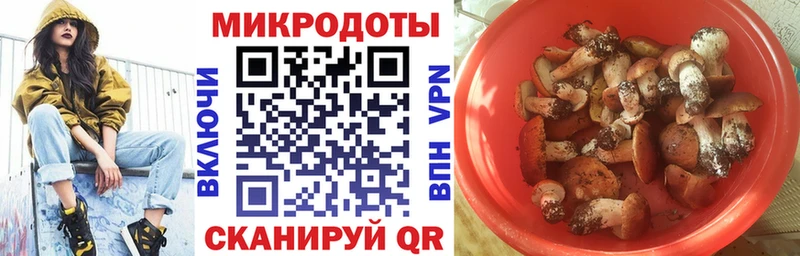 дарнет шоп  Родники  Псилоцибиновые грибы Psilocybine cubensis 
