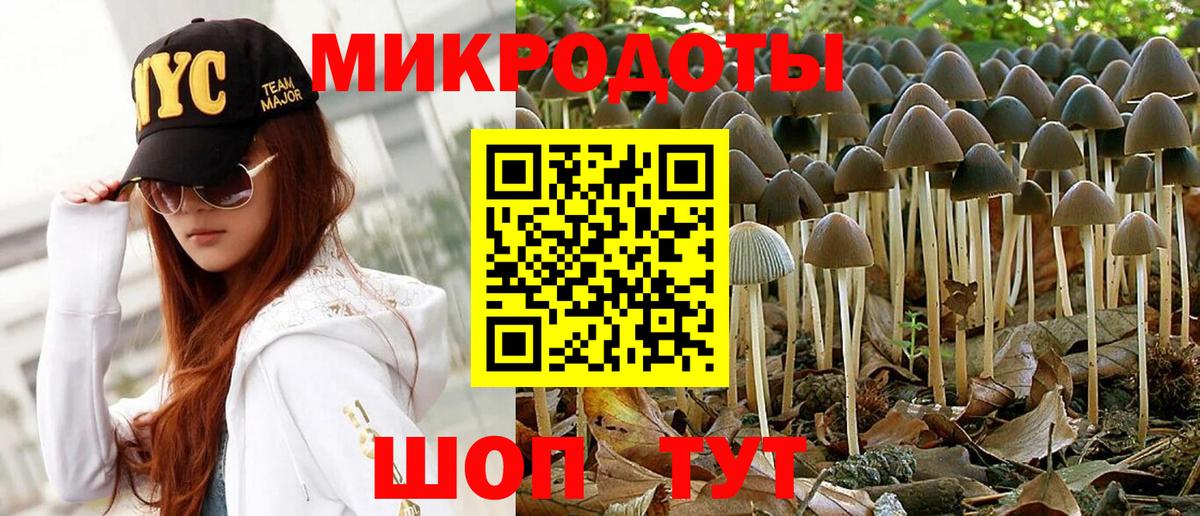 Псилоцибиновые грибы Magic Shrooms Родники