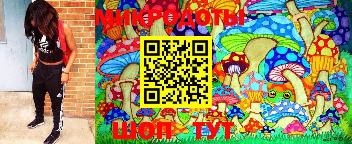 Галлюциногенные грибы Psilocybe  Вход с VPN  Родники  Псилоцибиновые грибы прущие грибы 